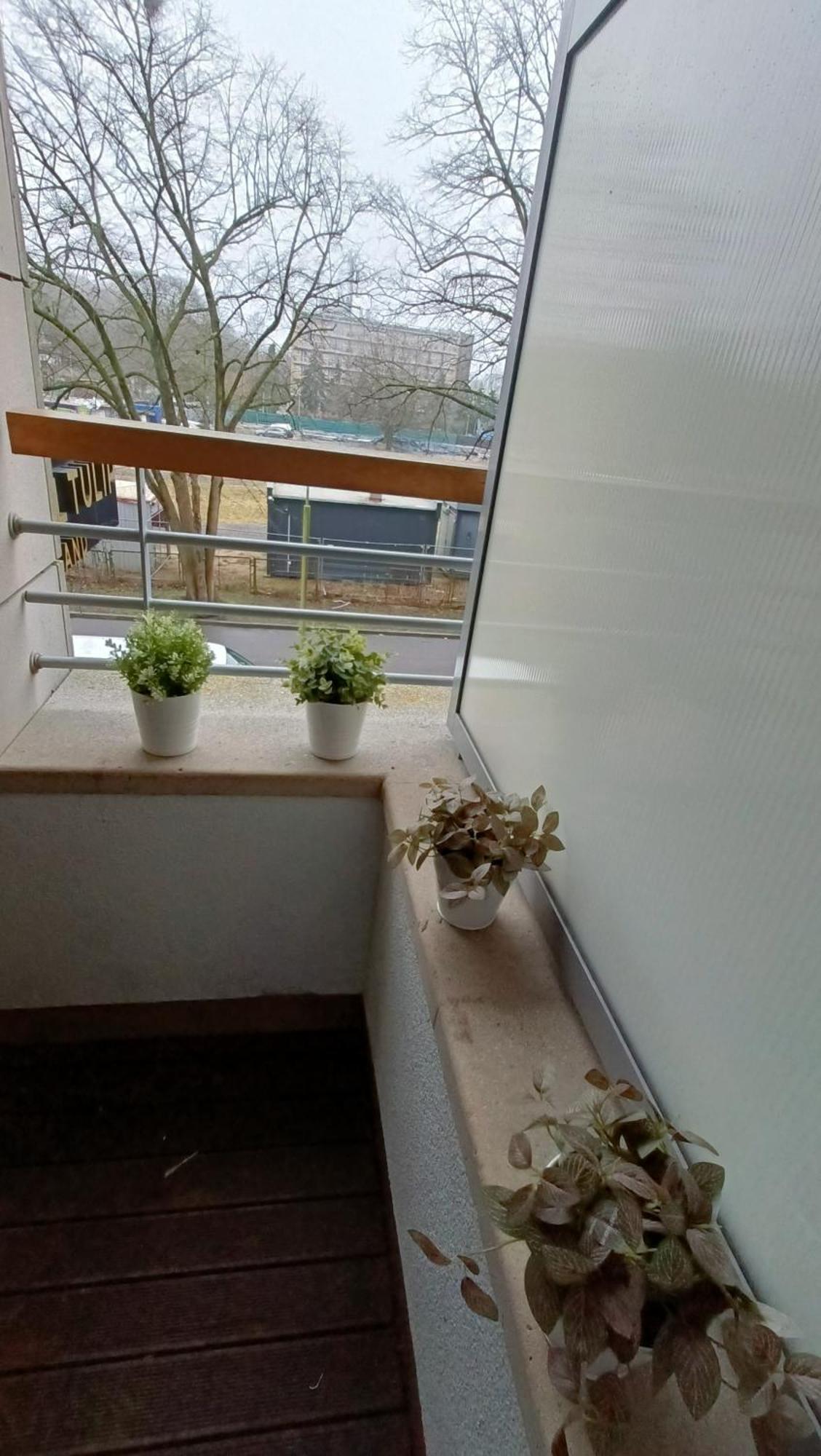 120 W 5 Gwiazdowym Royal Tulip Sand 200 M Od Plazy Dobruk Apartamenty 科沃布热格 外观 照片